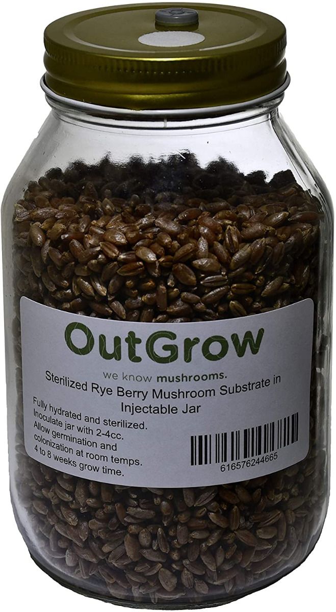 BRF JARS Brown Rice Flour Based Mushroom Substrate